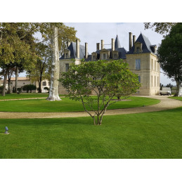PICHON-LONGUEVILLE COMTESSE DE LALANDE 2ème Grand Cru Classé Pauillac AC