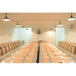 BELLEVUE DE TAYAC, Cru Bourgeois Margaux AC