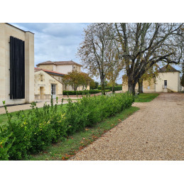CHÂTEAU FONROQUE Grand Cru Classé Saint-Emilion AC (Parker 91-93/100), BIO