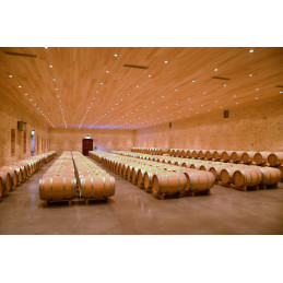 FOURCAS HOSTEN, Listrac-Médoc AC, DM