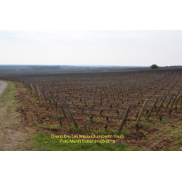 JEAN-MICHEL GUILLON & FILS, Mazis-Chambertin Grand-Cru AC