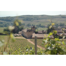 Pouilly - Fuissé 1er cru Le Clos, Monopole, CHÂTEAU DE FUISSÉ
