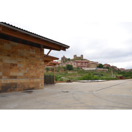 CASTILLO DE MENDOZA, Noralba Blanco, Barrique, Rioja DOCa, BIO