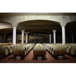 CASTILLO DE MENDOZA, Noralba Blanco, Barrique, Rioja DOCa, BIO
