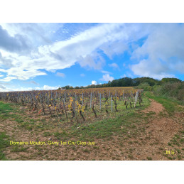 LAURENT MOUTON, Givry Blanc AC, Cuvée Excellence