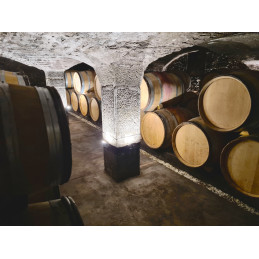 Santenay 1er Cru Clos des Mouches, AURORE BACHELET
