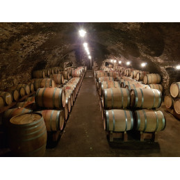 Saint-Aubin 1er Cru Sentier du Clou AC, VINCENT BACHELET