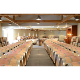 DEYREM VALENTIN, Cru Bourgeois Margaux AC ( J.Suckling 93/100)