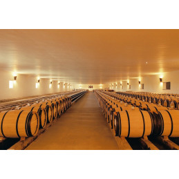MOUTON-ROTHSCHILD 1er Grand Cru Classé Pauillac AC