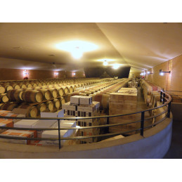 LA FLEUR PEYRABON Cru Bourgeois Pauillac AC