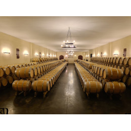 LYNCH-MOUSSAS 5ème Grand Cru Classé Pauillac AOC ( J. Suckling 94-95/100 )