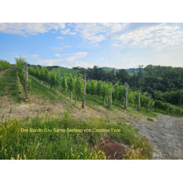 Barolo "Perno" DOCG, Vigna San Stefano, TIOLE