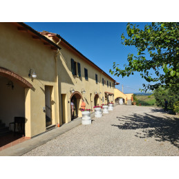 LUGGIANO VINCI, Ideale, Chianti Superiore DOCG, BIO