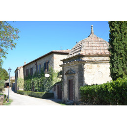 TREGOLE, Chianti Classico DOCG, BIO