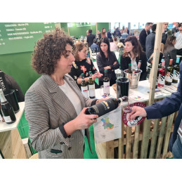 TREGOLE, Chianti Classico DOCG, BIO