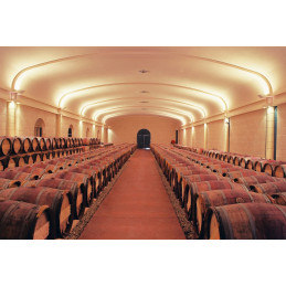 DOMAINE DE CHEVALIER Grand Cru Classe de Graves, Pessac-Léognan AC (Parker 94-96/100)