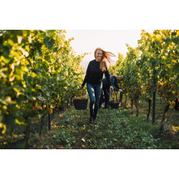 Juwel Weissburgunder, Rheinhessen, Juliane ELLER