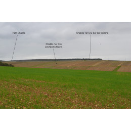Chablis 1er cru Montmain AC, V.V. Denis RACE