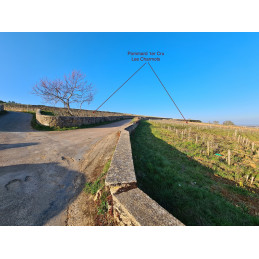 Pommard 1er Cru Les Charmots AC, Georges JOILLOT