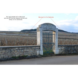 Volnay 1er Cru, Les Santenots AC, Georges JOILLOT