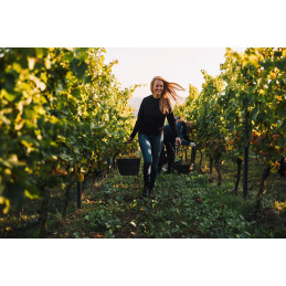 JUWEL, Alsheim Frühmesse Riesling, Rheinhessen, Juliane ELLER
