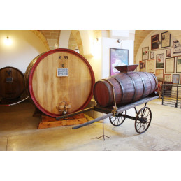 Lirica Primitivo di Manduria DOP (Gambero rosso 3/3)