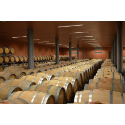 TENIMENTO DELL 'ÖR, Agriloro SA, Syrah rosso del Ticino DOC