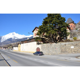 MONT D'OR, Merle des Roches, Ermitage Wallis A.O.C.