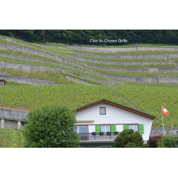 Clos du Crosex Grillé, Aigle Grand Cru A.O.C. GEX, LATINE