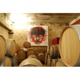 DOMAINE GROSBOIS, Gabare, Chinon AOC, BIO Demeter