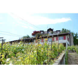 Champ-Noé, Villette, Lavaux A.O.C., BLONDEL