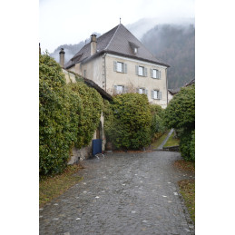 SPRECHER VON BERNEGG, Lindenwingert, Pinot Noir Jenins, Graubünden AOC, BIO Demeter