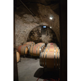 Lindenwingert, Pinot Noir Jenins, Graubünden AOC, BIO Demeter, Jan LUZI