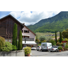 Pinot Gris, Yvorne AOC, Chablais A.O.C. GEX, LATINE