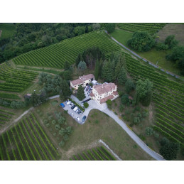 VILLE D'ARFANTA, Prosecco Brut Treviso DOC, Millesimato, Serena Wines