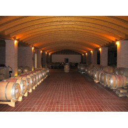 GINO FASOLI, Orgno, Merlot rosso Veronese I.G.T. MG