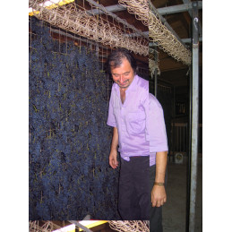 Orgno, Merlot rosso Veronese I.G.T. Gino FASOLI, Magnum