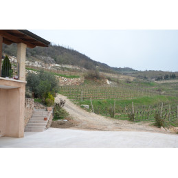 BOSCAINI, Zane Ripasso, Valpolicella DOC, Classico Superiore, MG