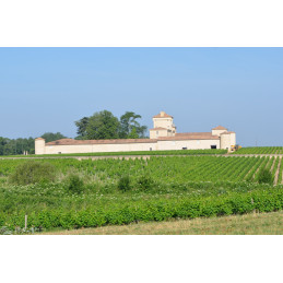 LAFAURIE-PEYRAGUEY 1er Cru Grand Cru Classé Sauternes AC