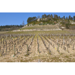 JUILLOT Michel, Mercurey 1er Cru Clos des Barraults AC