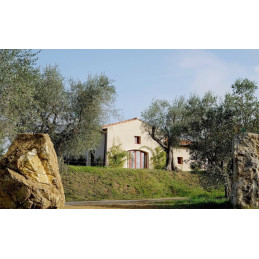 TENUTA LISINIA, Sasso di Fata, Toskana IGT, BIO