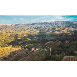 MAS SIMSÓ,  Blanc, Priorat DOQ
