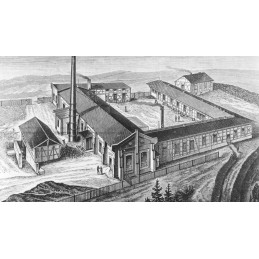 SCHOTT ZWIESEL, Fine, Digestifglas 24155