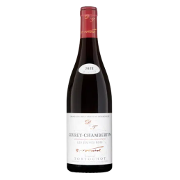 DOMAINE TORTOCHOT, Gevrey-Chambertin AC, Les Jeunes Rois, BIO
